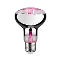 LED Growth light Filament Lamp / Grow Green Reflector R80, 230V, E27, 6.5W 1300K 200lm 60°
