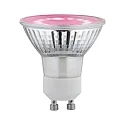 Lámpara reflectora LED PLANT GU10 3,5W 95lm 1100K 110° 