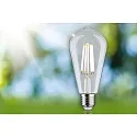 Paulmann lamp Edison pear shape ECO-LINE ST64 FILAMENT switchable ST64 clear E27 4W 840lm 3000K 360° CRI >80  clear