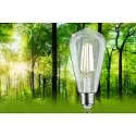 Paulmann Bombillas Edison en forma de pera ECO-LINE ST64 FILAMENT conmutable ST64 claro E27 4W 840lm 4000K 360° CRI >80  claro