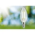 Paulmann filament lamp candle ECO-LINE CANDLE switchable P45 clear E14 2,5W 525lm 4000K 360° CRI >80  clear
