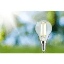 Paulmann filament lamp drop ECO-LINE DROP switchable P45 clear E14 2,5W 525lm 3000K 360° CRI >80  clear