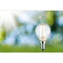 Paulmann filament lamp drop ECO-LINE DROP switchable P45 clear E14 4W 840lm 3000K 360° CRI >80  clear