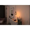Paulmann LED filament lamp METALLIC GLOW GLOBE  3-STEP DIM E27 4W 160lm 1800K CRI >80 dimmable