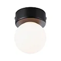 Luminaria de pared y techo GOVE G9 IP44, mate, negro 