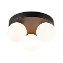 Luminaria de pared y techo GOVE G9 IP44, mate, negro 