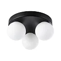 Luminaria de pared y techo GOVE G9 IP44