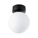 Luminaria de pared y techo GOVE IP44