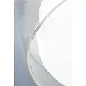 Paulmann Luminaria de pared y techo LUENA IP44, cromo, mate 