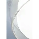 Paulmann Luminaria de pared y techo LUENA IP44, cromo, mate 