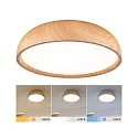 bath luminaire OKA CCT Switch, switchable IP44, wood, mat 
