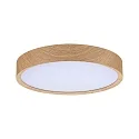 Paulmann bath luminaire TEGA CCT Switch, switchable IP44, wood, mat 