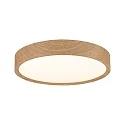 Paulmann bath luminaire TEGA CCT Switch, switchable IP44, wood, mat 