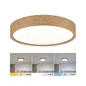 Paulmann bath luminaire TEGA CCT Switch, switchable IP44, wood, mat 