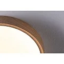 Paulmann bath luminaire TEGA CCT Switch, switchable IP44, wood, mat 
