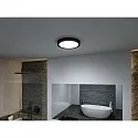 bath luminaire TEGA CCT Switch, switchable IP44, wood, mat 