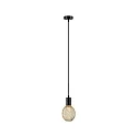 Paulmann Luminaria colgante RAVI IP44 ajustable E27 IP44, negro