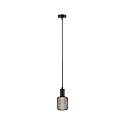 Paulmann Luminaria colgante RAVI IP44 ajustable E27 IP44, negro