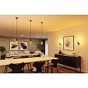 Paulmann Luminaria colgante RAVI IP44 ajustable E27 IP44, negro