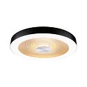 Luminaria de pared y techo VOLEA Ø 40CM directo / indirecto IP44, dorado, negro, plata regulable