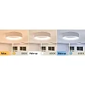Paulmann Luminaria de techo HOMESPA CASCA LED grande, CCT Switch IP44, blanco regulable
