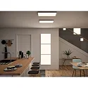 Paulmann LED Panel VELORA surfaced mounting, 60cm, 230V, 33W 3000K 2660lm, not dimmable, white matt