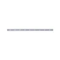 Paulmann LED Strip MAXLED RGBW silver