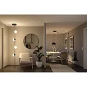 Paulmann Luz LED del sistema ULine PENDEL BALL Ø 15CM con difusor, en forma de bala IP20, negro mate regulable