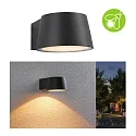 Paulmann Luminaria de pared para exteriores CAPEA conmutable, insect-friendly IP44, antracita 