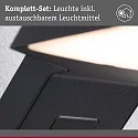 outdoor wall luminaire ZERENA with sensor, insect friendly, sea-air resistant IP44, anthracite 