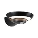 Lámpara solar de pared BOROLA PIR con sensor IP44, antracita, transparente 