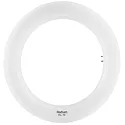 LED Tube lamp Essence RL-T9 C22 EM, ring shape Ø 20.5cm, G10q, 12W 6500K 1200lm 120°, matt