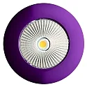 Aro CALINA, violeta