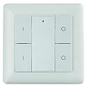 Interruptor de pared de la radio 2 ZONE RF SINGLE COLOUR 2 canales, con salida de señal de radiocontrol (RF), blanco