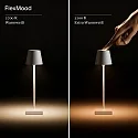 SIGOR battery table lamp NUINDIE POCKET USB-C up / down, with USB connection, CCT Switch, with touch dimmer IP54, dune beige dimmable