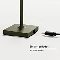 SIGOR battery table lamp NUINDIE POCKET USB-C up / down, with USB connection, CCT Switch, with touch dimmer IP54, pine green dimmable