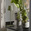 SIGOR battery table lamp NUINDIE USB-C up / down, with USB connection, CCT Switch, with touch dimmer IP54, pine green dimmable