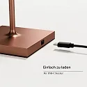 SIGOR battery table lamp NUINDIE USB-C up / down, with USB connection, CCT Switch, with touch dimmer IP54, bronze anodised dimmable