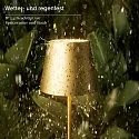 SIGOR battery floor lamp NUINDIE USB-C up / down, with USB connection, CCT Switch, with touch dimmer IP54, gold dimmable