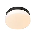 Steinhauer Wall and ceiling luminaire CEILING AND WALL Bathroom luminaire, 1 flame, glass 24 cm, silver