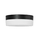 Steinhauer Wall and ceiling luminaire CEILING AND WALL Bathroom luminaire, 1 flame, glass 24 cm, silver