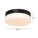 Steinhauer Wall and ceiling luminaire CEILING AND WALL Bathroom luminaire, 1 flame, glass 24 cm, silver