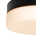Steinhauer Wall and ceiling luminaire CEILING AND WALL Bathroom luminaire, 1 flame, glass 24 cm, silver