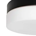 Steinhauer Wall and ceiling luminaire CEILING AND WALL Bathroom luminaire, 1 flame, glass 24 cm, silver