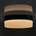 Steinhauer Wall and ceiling luminaire CEILING AND WALL Bathroom luminaire, 1 flame, glass 24 cm, silver