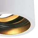 Steinhauer Luz downlight PÉLITE SPOT cilíndrico, rígido, versión de montaje en superficie GU10 IP20, blanco regulable