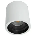 Steinhauer Luz downlight PÉLITE SPOT cilíndrico, rígido, versión de montaje en superficie GU10 IP20, blanco regulable
