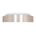 Steinhauer Luminaria de techo RINGLEDE - Ø 38CM redondo, medio, directo / indirecto IP20, plata cepillado regulable