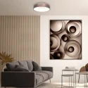 Steinhauer Luminaria de techo RINGLEDE LED redondo LED IP20, color bronce, blanco regulable