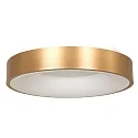 Luminaria de techo RINGLEDE - Ø 48CM grande, redondo, directo / indirecto IP20, dorado regulable